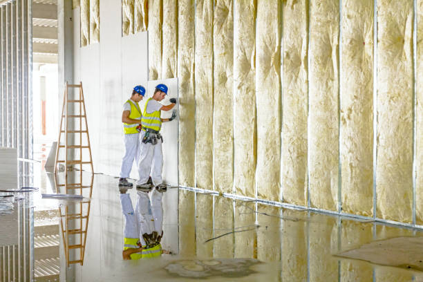 Best Commercial Insulation in Kana, UT